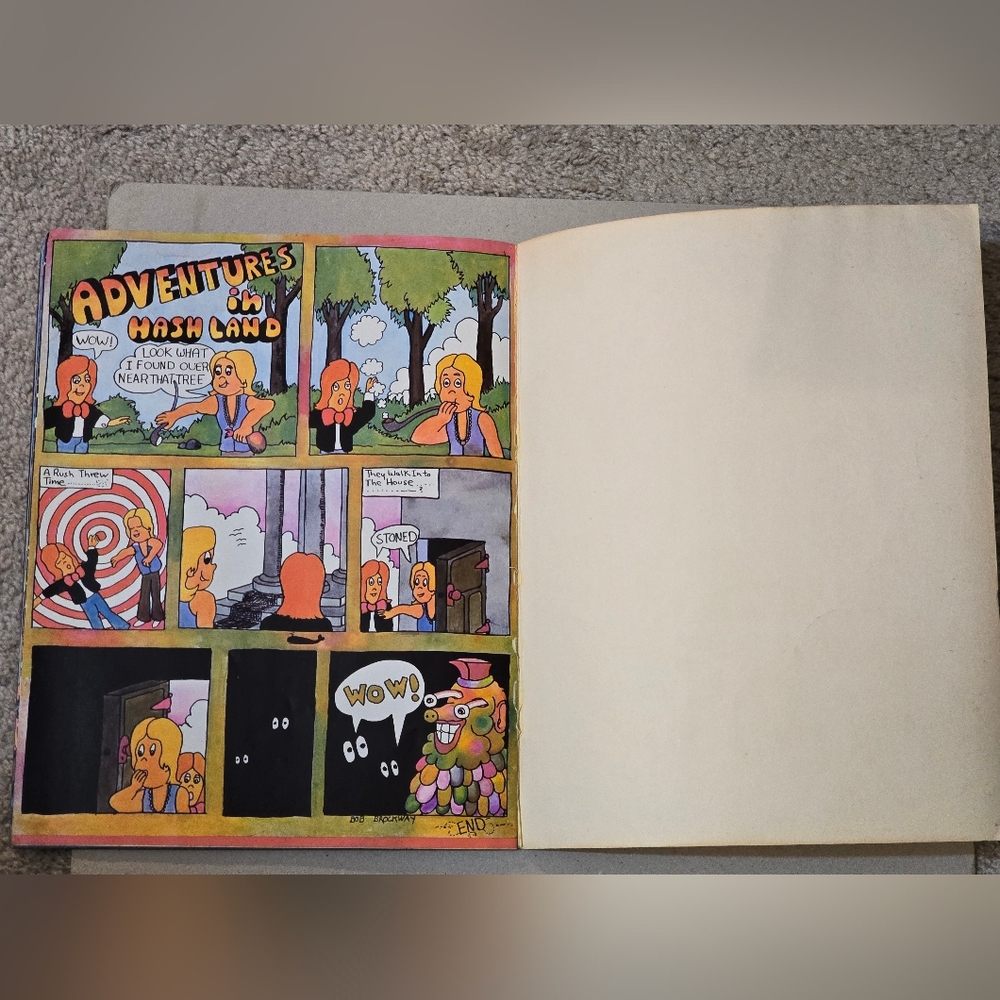 Vintage High Tide 'Metamorphasis' By Hermann Hesse - Picture 7 of 13